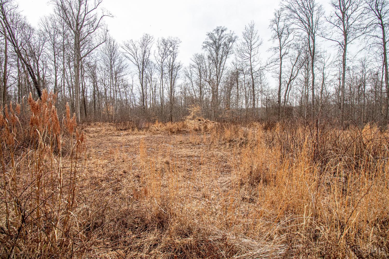 47ac Dry Run Road, Miami Twp, OH, 45150 — photo 17