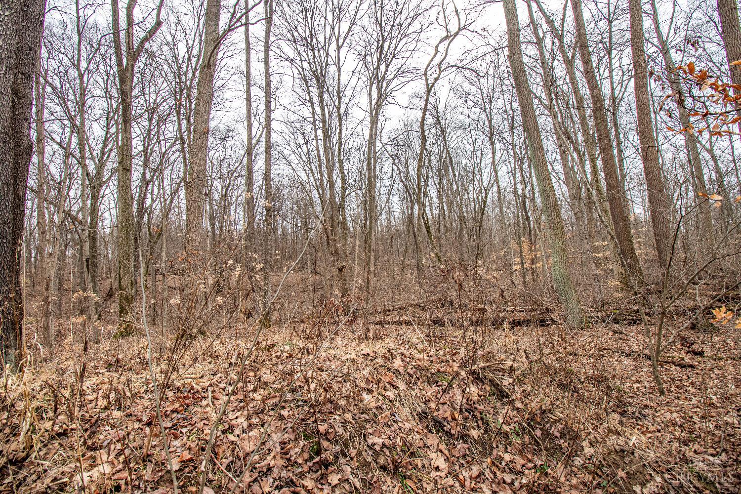 47ac Dry Run Road, Miami Twp, OH, 45150 — photo 15