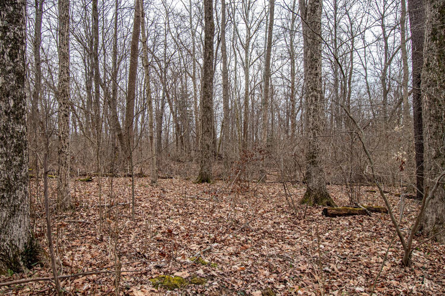 47ac Dry Run Road, Miami Twp, OH, 45150 — photo 24