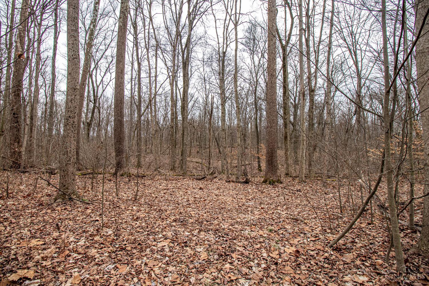 47ac Dry Run Road, Miami Twp, OH, 45150 — photo 16
