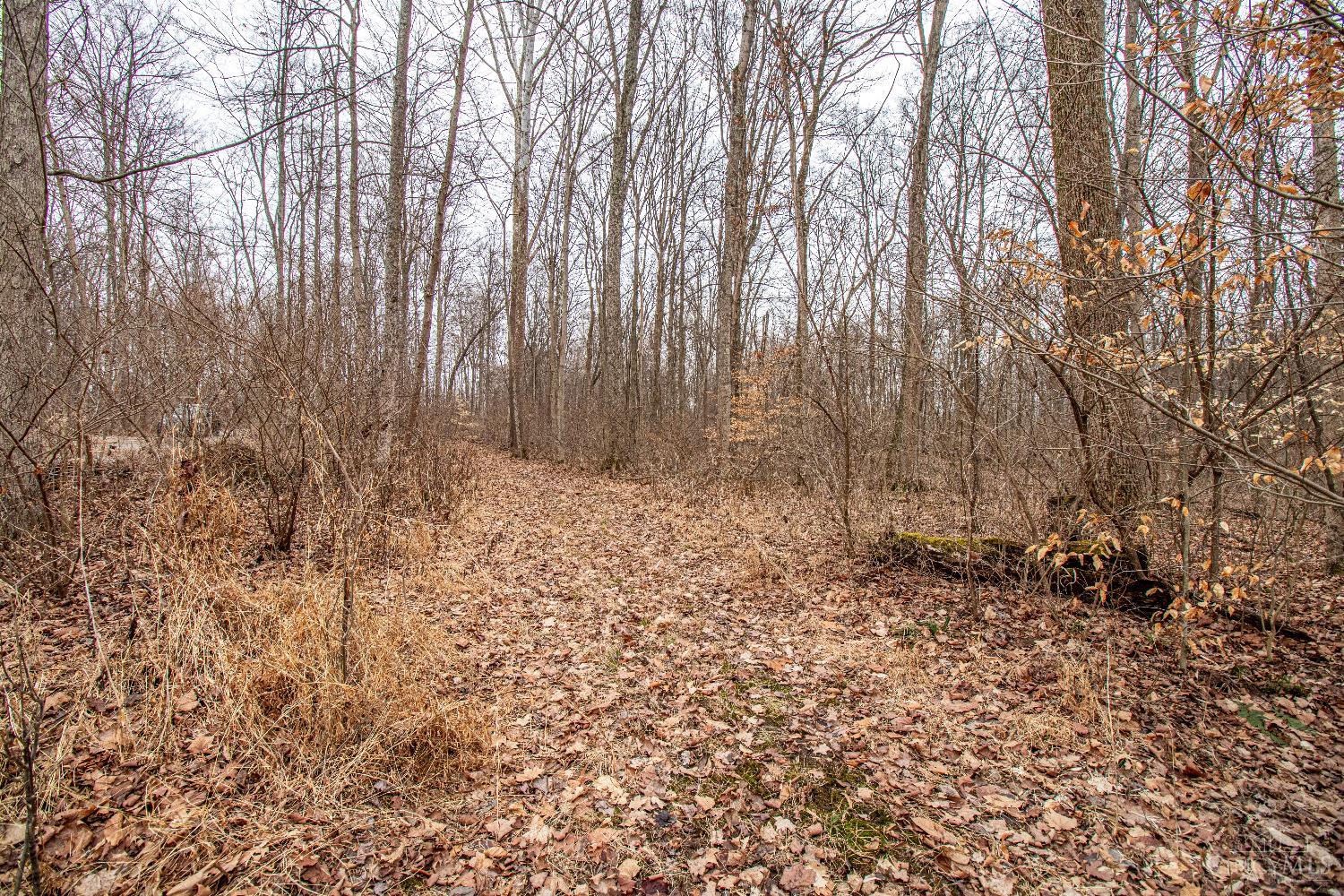 47ac Dry Run Road, Miami Twp, OH, 45150 — photo 8