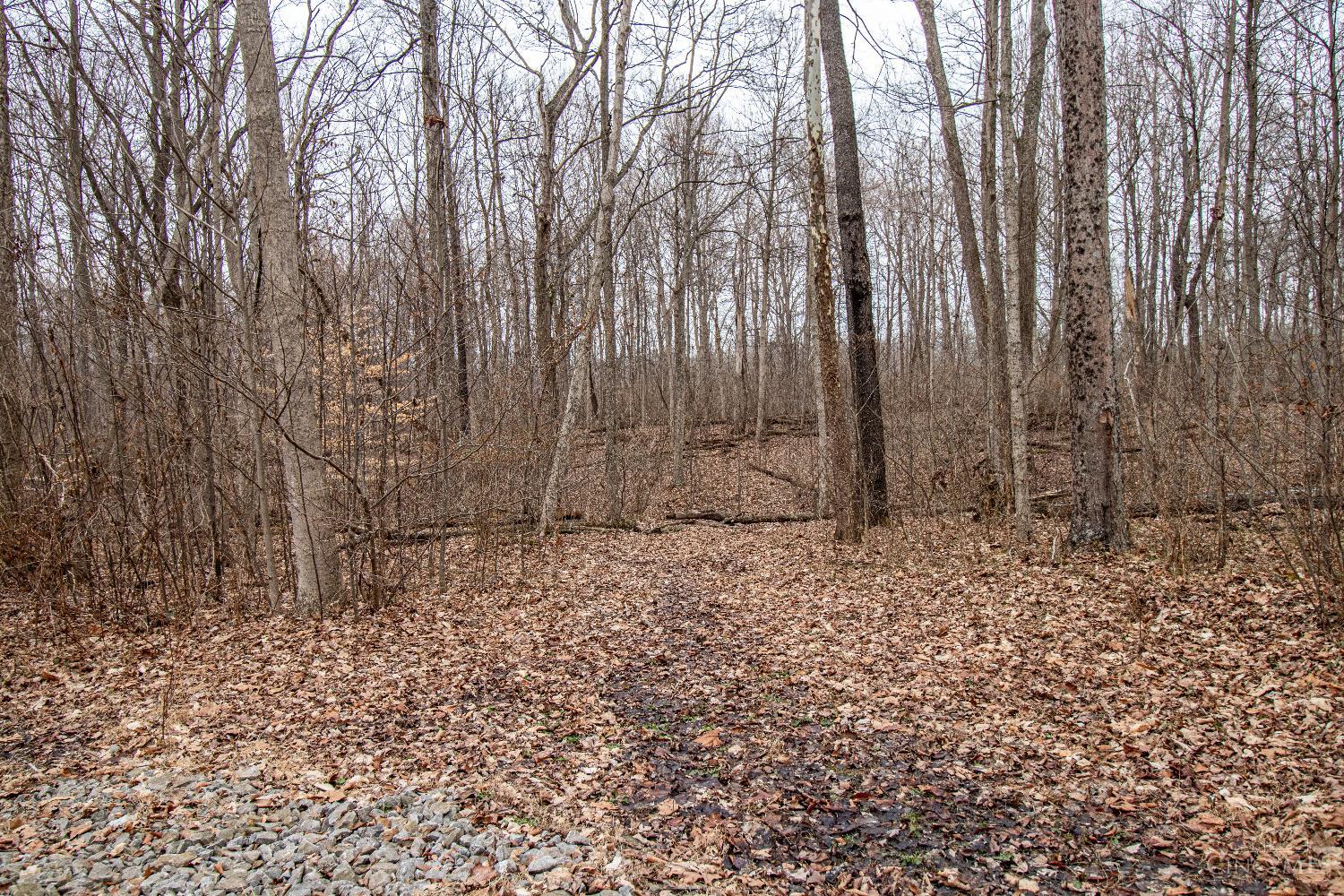 47ac Dry Run Road, Miami Twp, OH, 45150 — photo 29