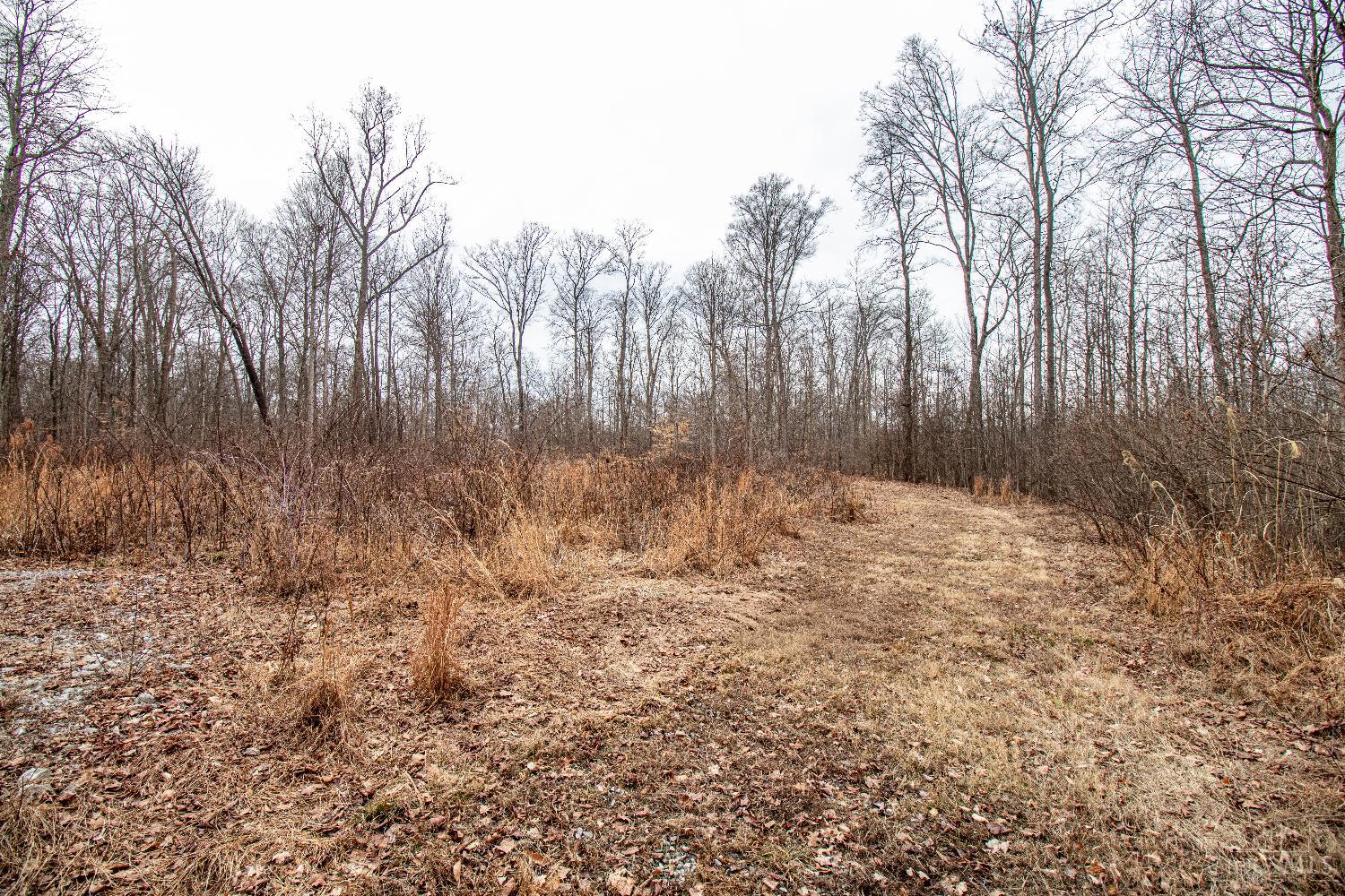 47ac Dry Run Road, Miami Twp, OH, 45150 — photo 31