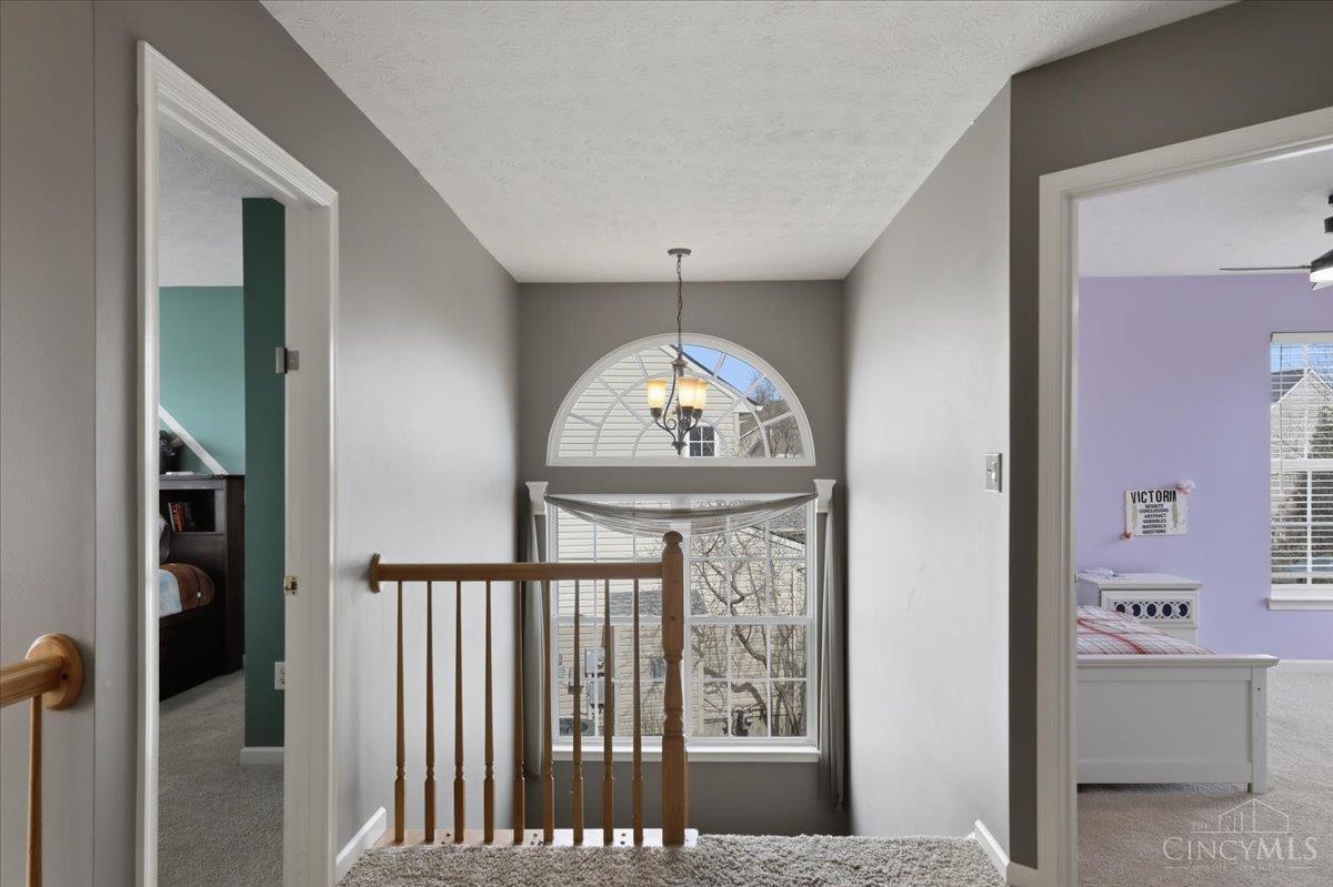 250 Ballard Drive, Springboro, OH, 45066 — photo 32