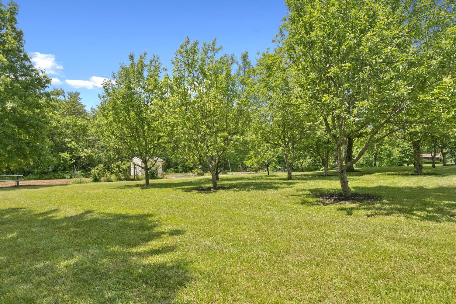 5246 Smokey Road, Jackson Twp, OH, 45176 — photo 67