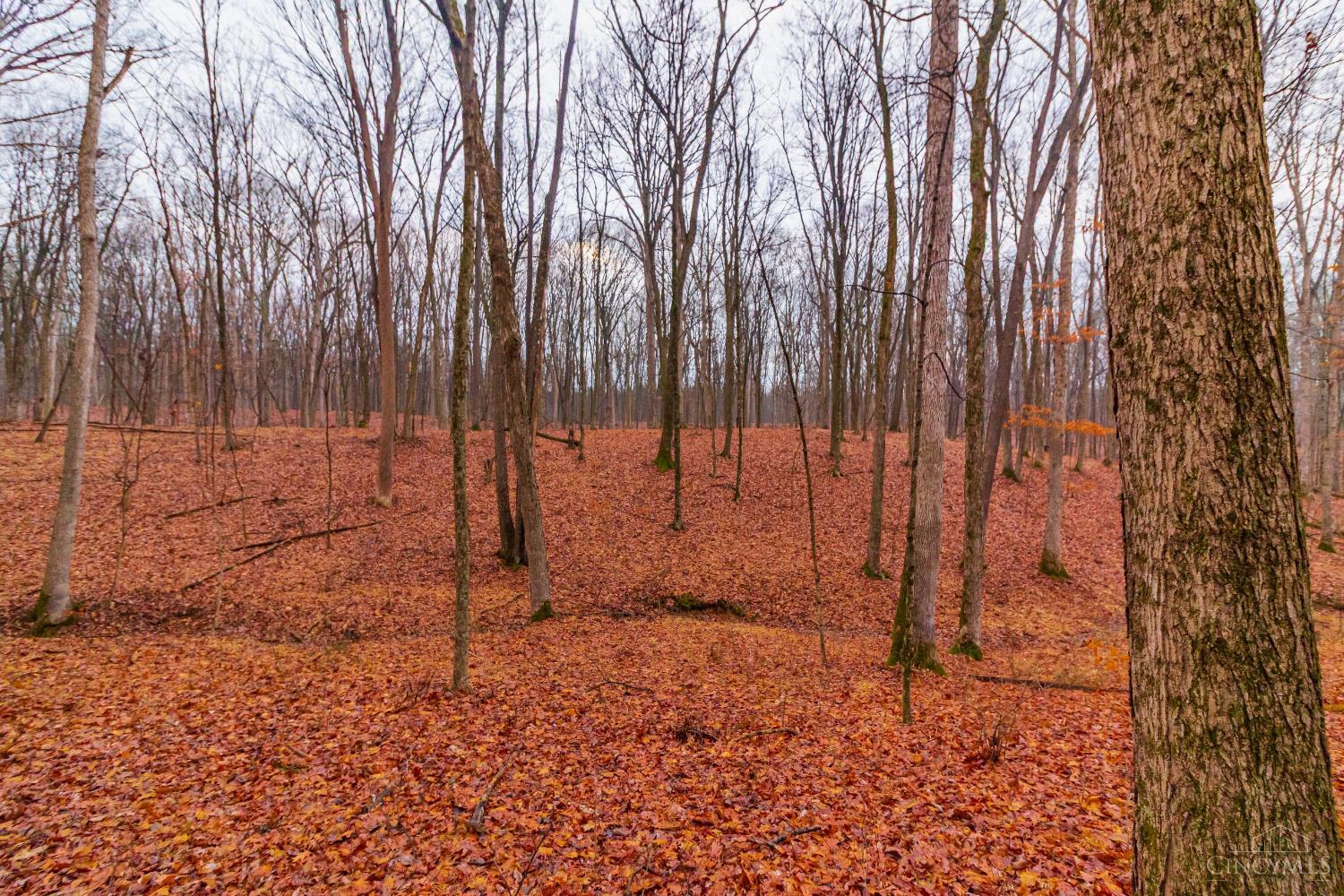 Rear Greenbrier Road, Seaman, OH, 45679 — photo 23
