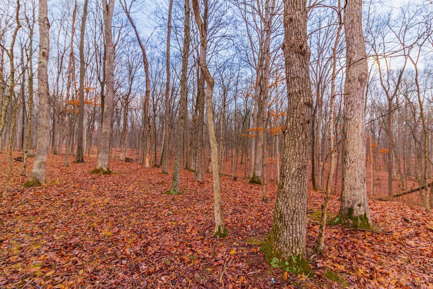 Rear Greenbrier Road, Seaman, OH, 45679 — photo 26