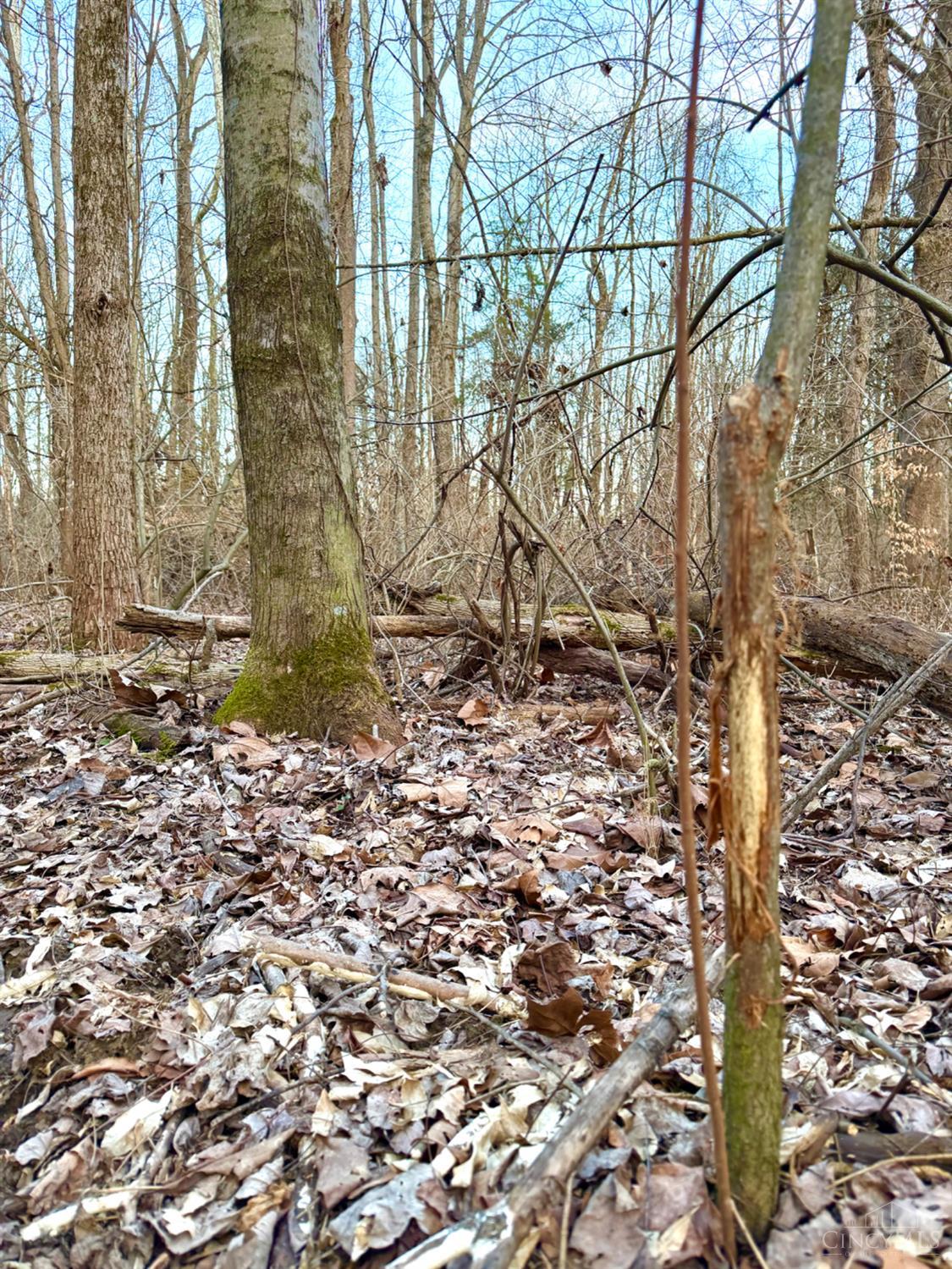 Homes for sale in Jackson Twp, OH | Martin Alexander, Jackson Twp, OH 45171 | MLS# 1870767