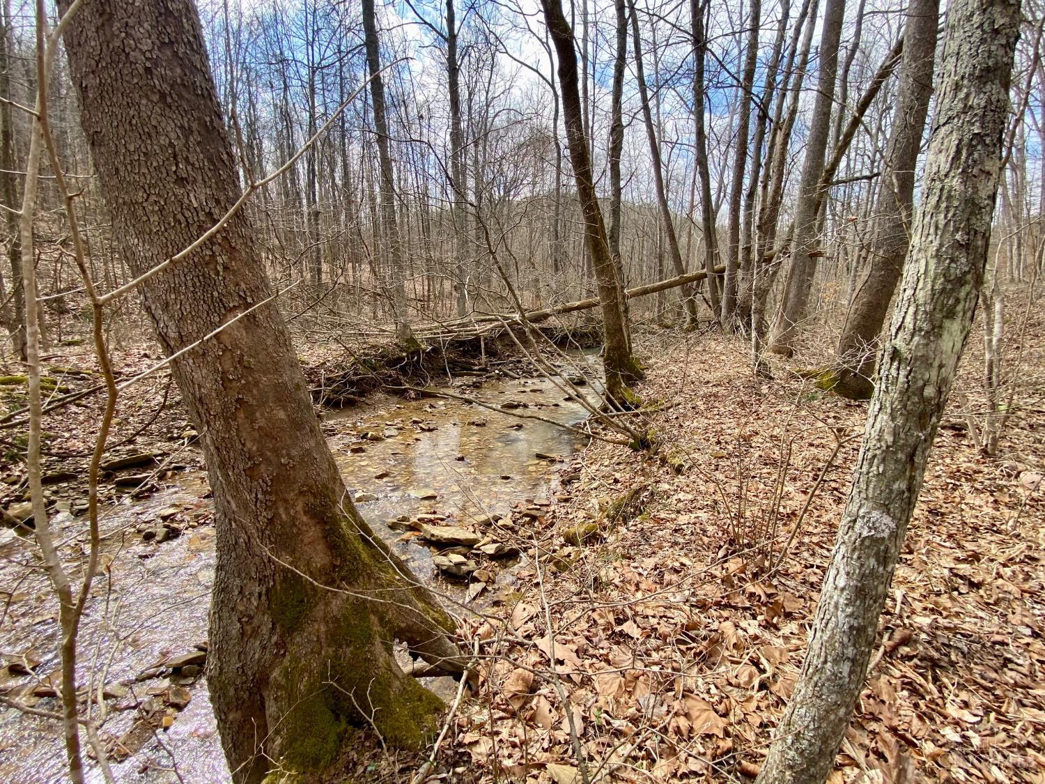 5th image of 20 Beech Fork Rd, Otway, OH 45657 | MLS# 1871303