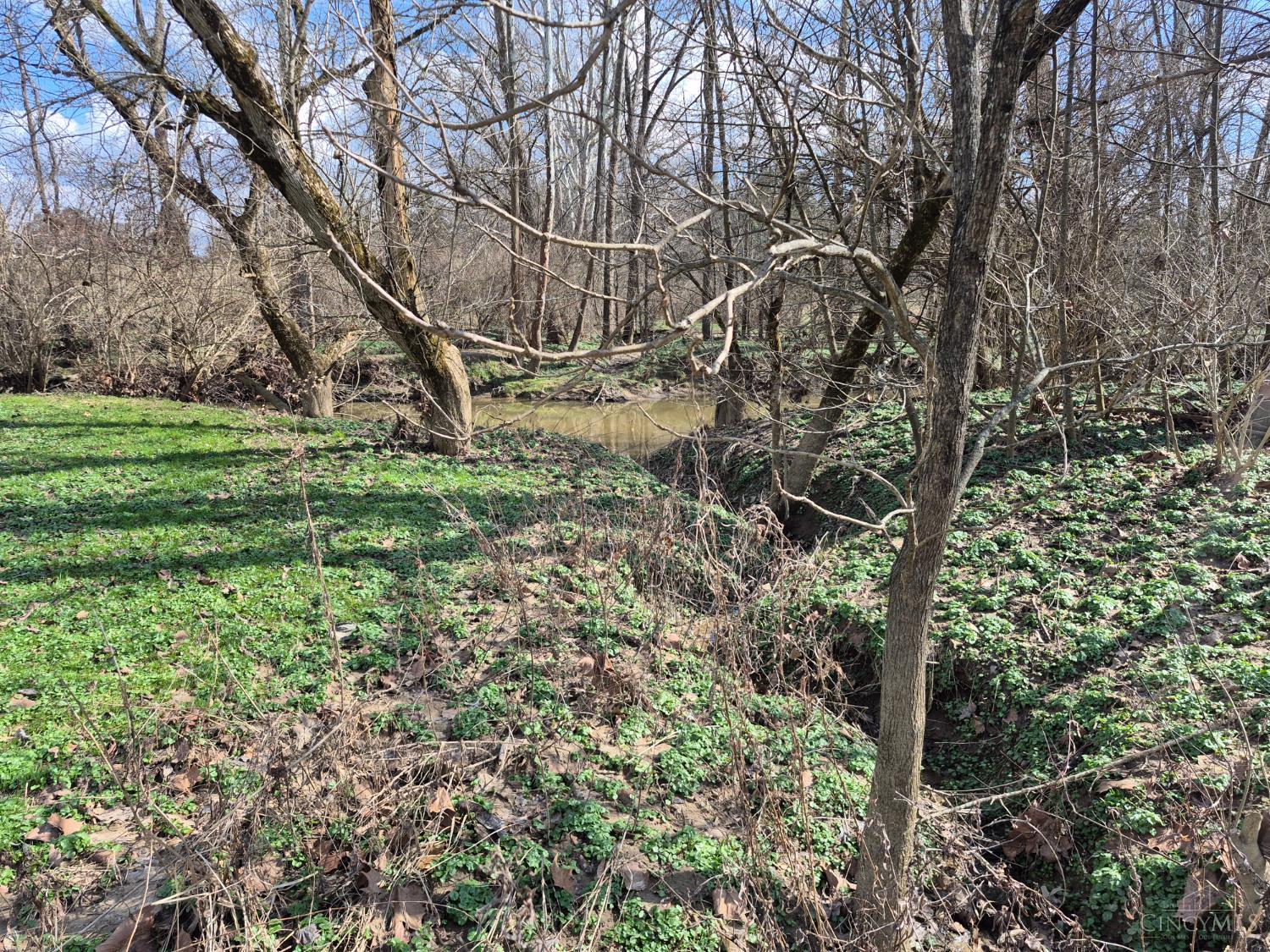 6656 St Rt 133, Wayne Twp, OH, 45162 — photo 22