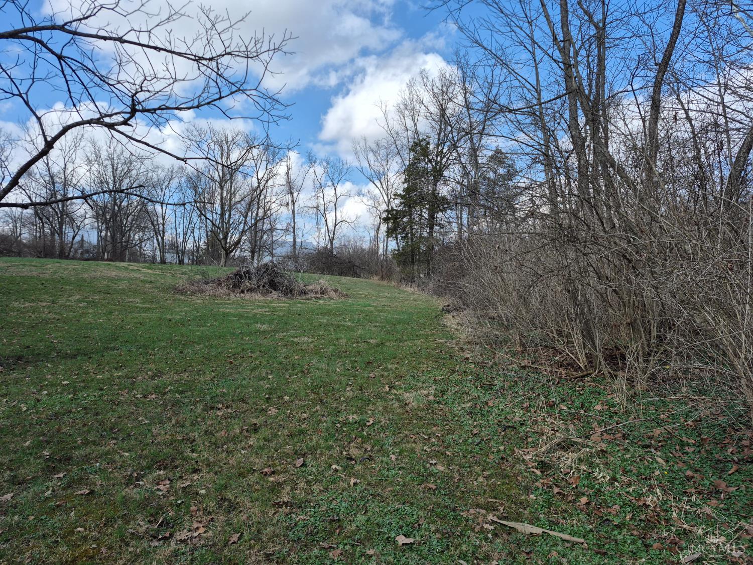6656 St Rt 133, Wayne Twp, OH, 45162 — photo 15