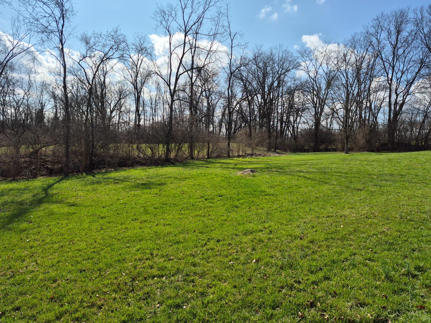 6656 St Rt 133, Wayne Twp, OH, 45162 — photo 44