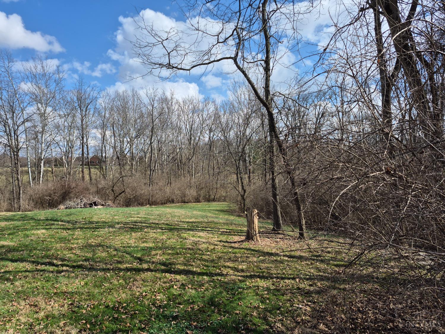 6656 St Rt 133, Wayne Twp, OH, 45162 — photo 11