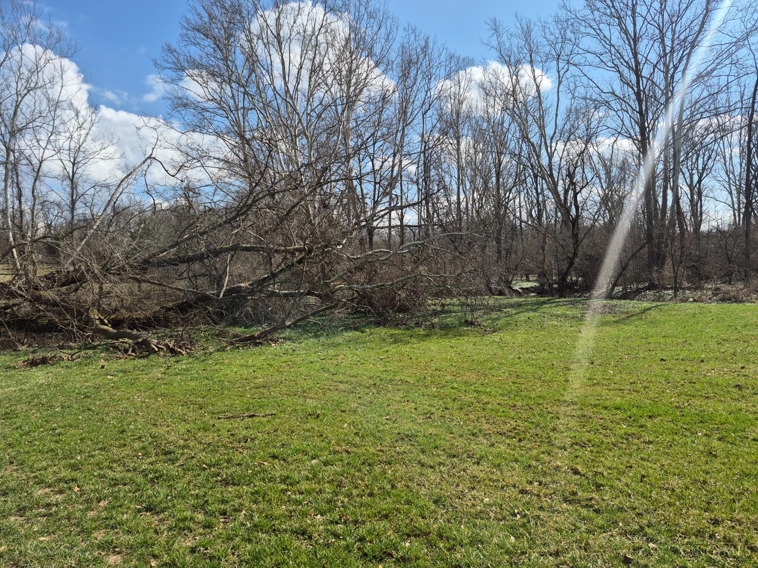 6656 St Rt 133, Wayne Twp, OH, 45162 — photo 29
