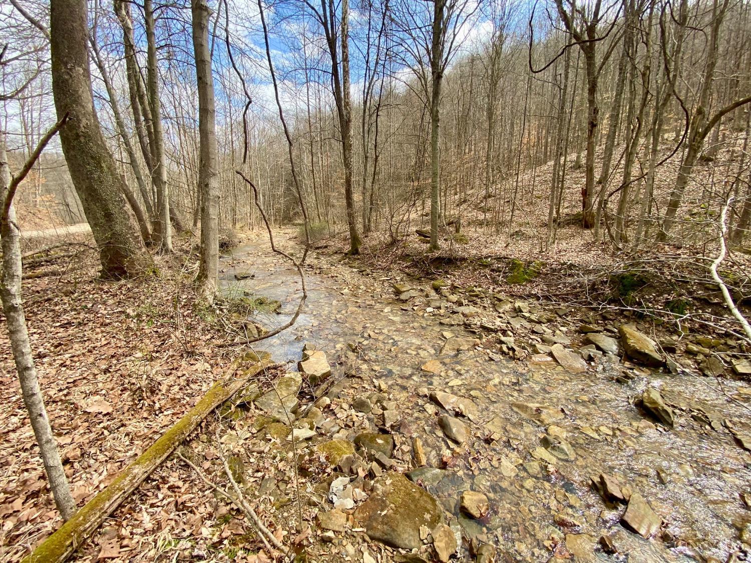 4th image of 20 Beech Fork Rd, Otway, OH 45657 | MLS# 1871303