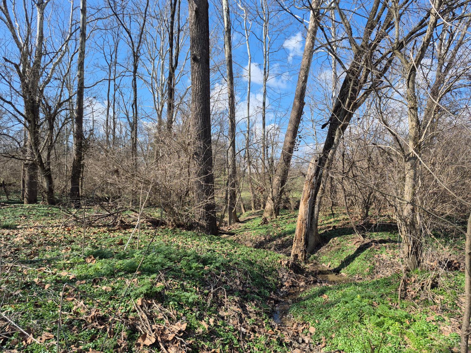 6656 St Rt 133, Wayne Twp, OH, 45162 — photo 37
