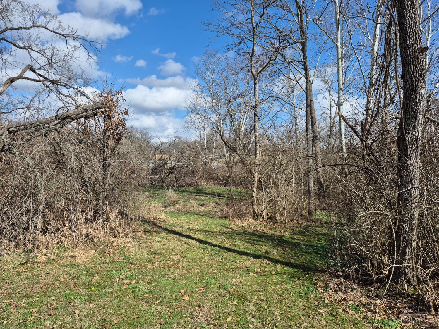 6656 St Rt 133, Wayne Twp, OH, 45162 — photo 23