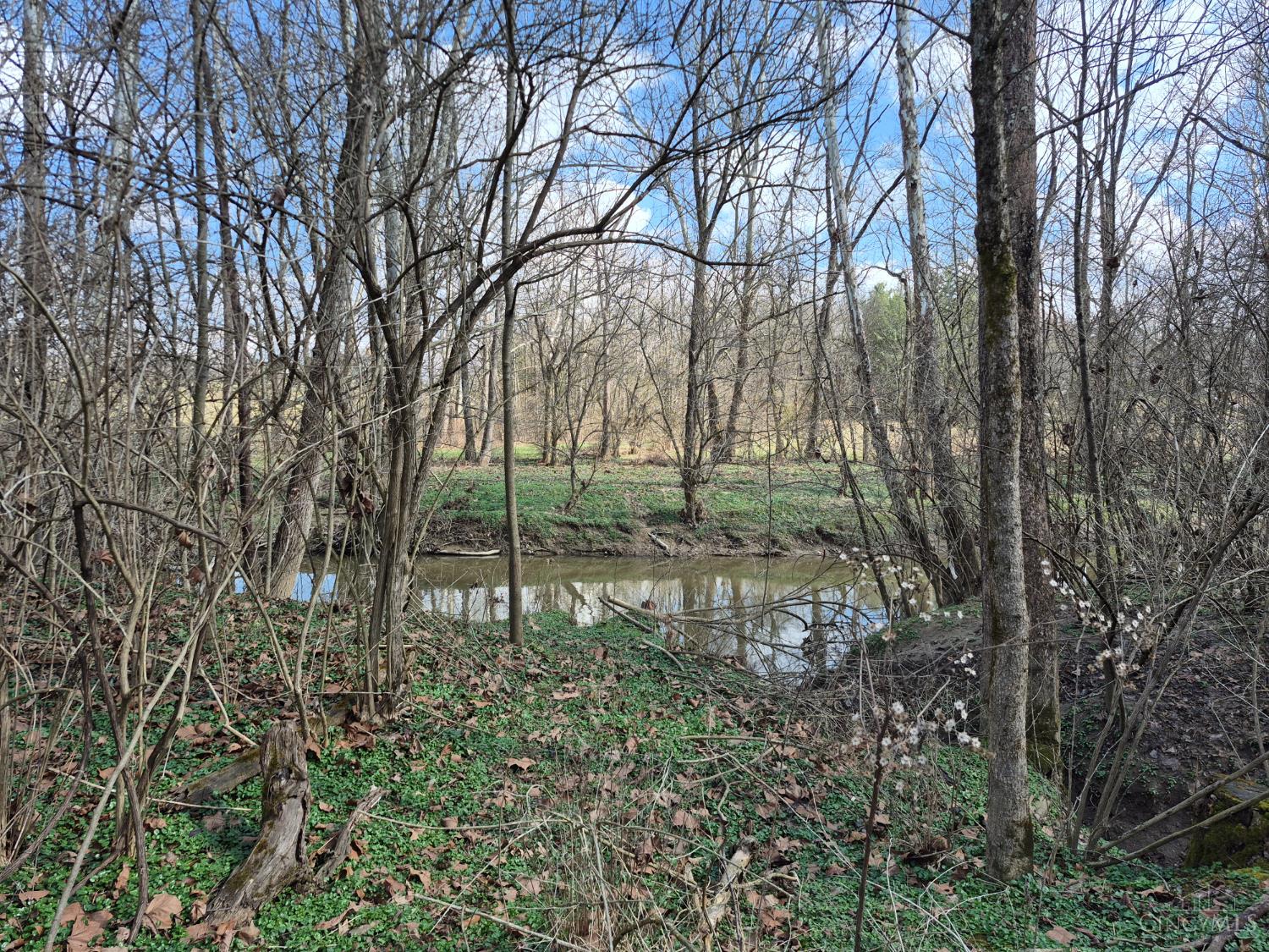 6656 St Rt 133, Wayne Twp, OH, 45162 — photo 16