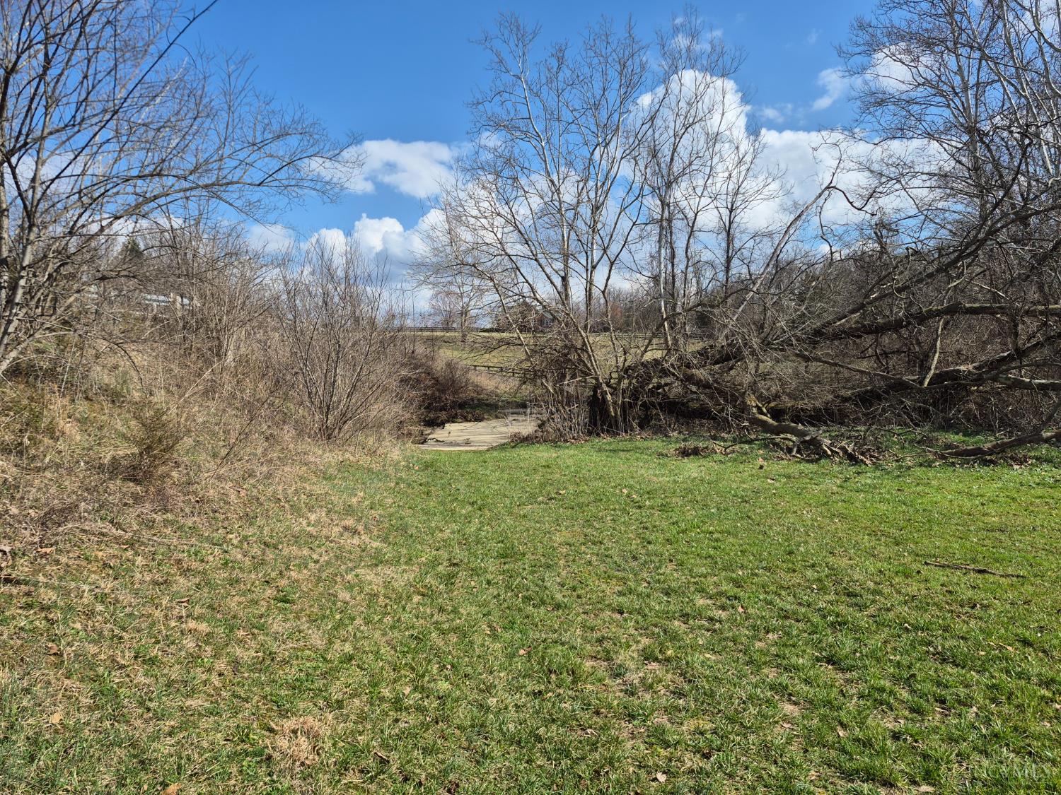6656 St Rt 133, Wayne Twp, OH, 45162 — photo 30