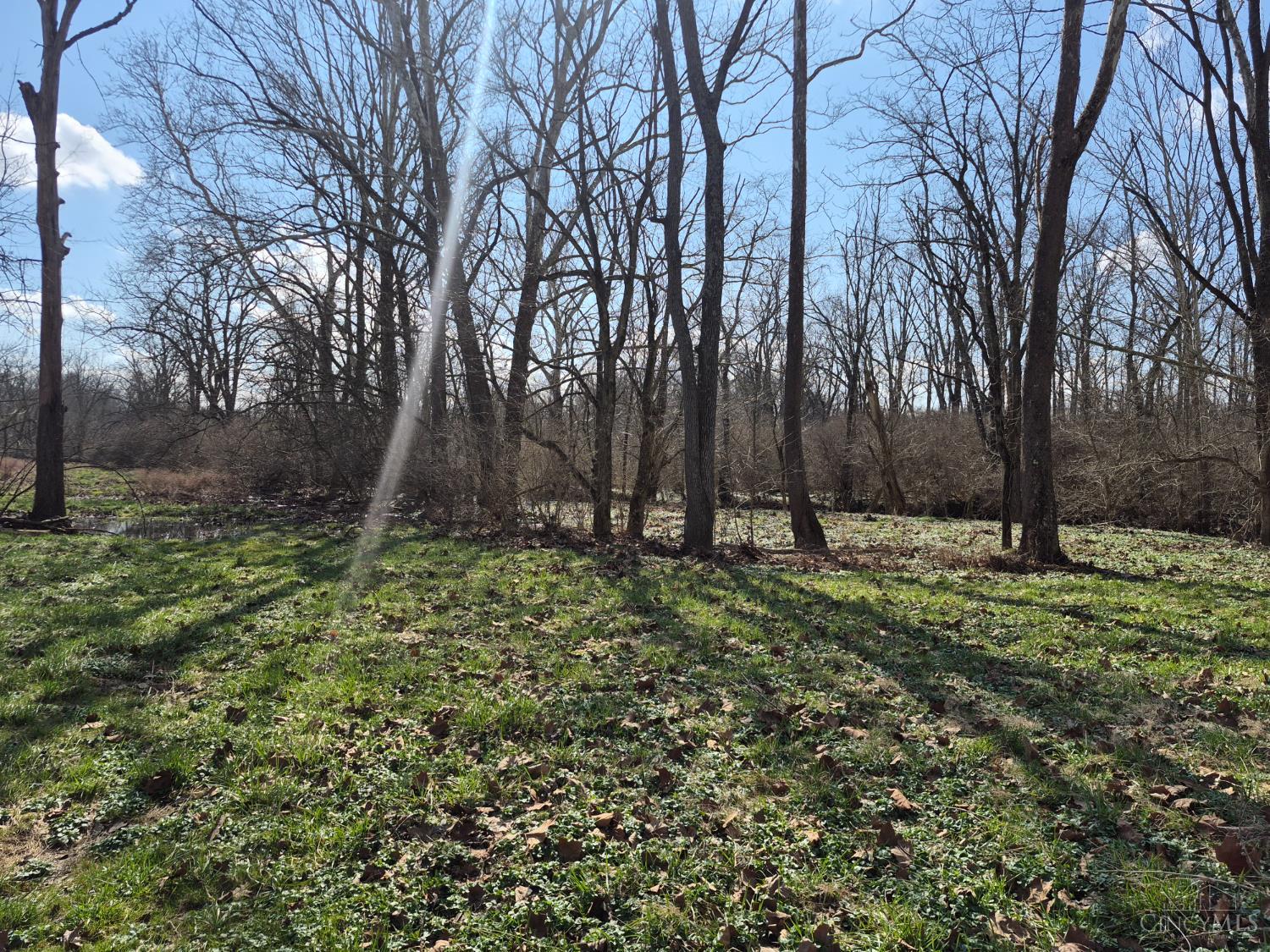 6656 St Rt 133, Wayne Twp, OH, 45162 — photo 36