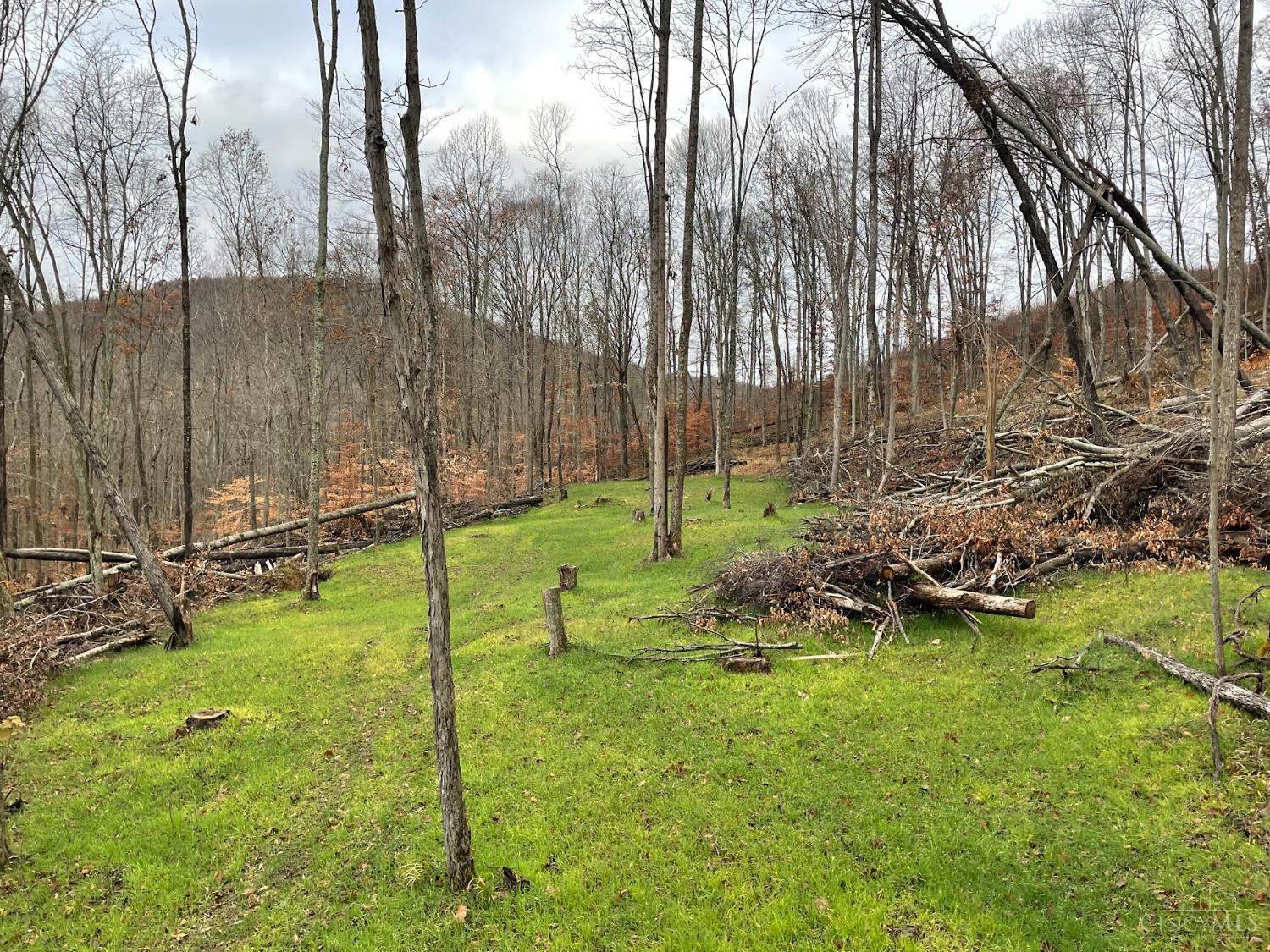 1st image of 20 Beech Fork Rd, Otway, OH 45657 | MLS# 1871303