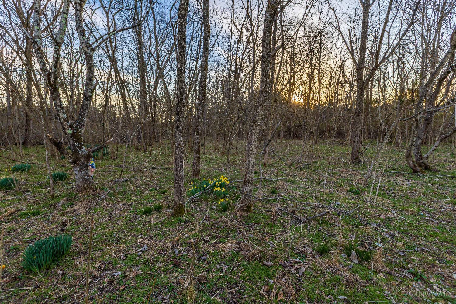 Lura Lane, Bratton Twp, OH, 45660 — photo 8