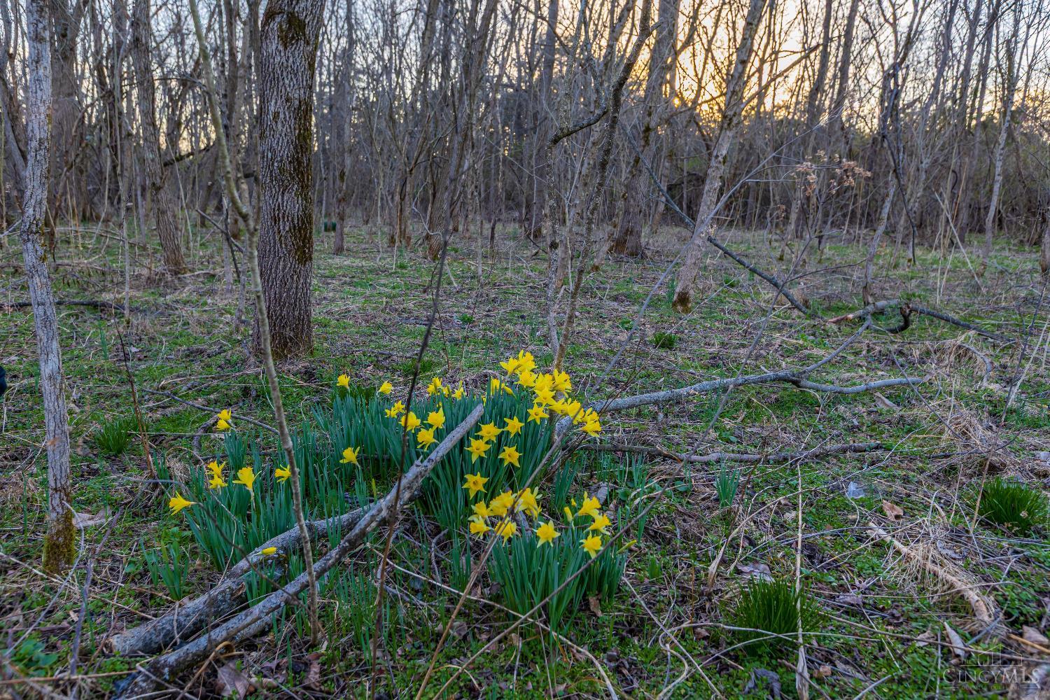 Lura Lane, Bratton Twp, OH, 45660 — photo 5