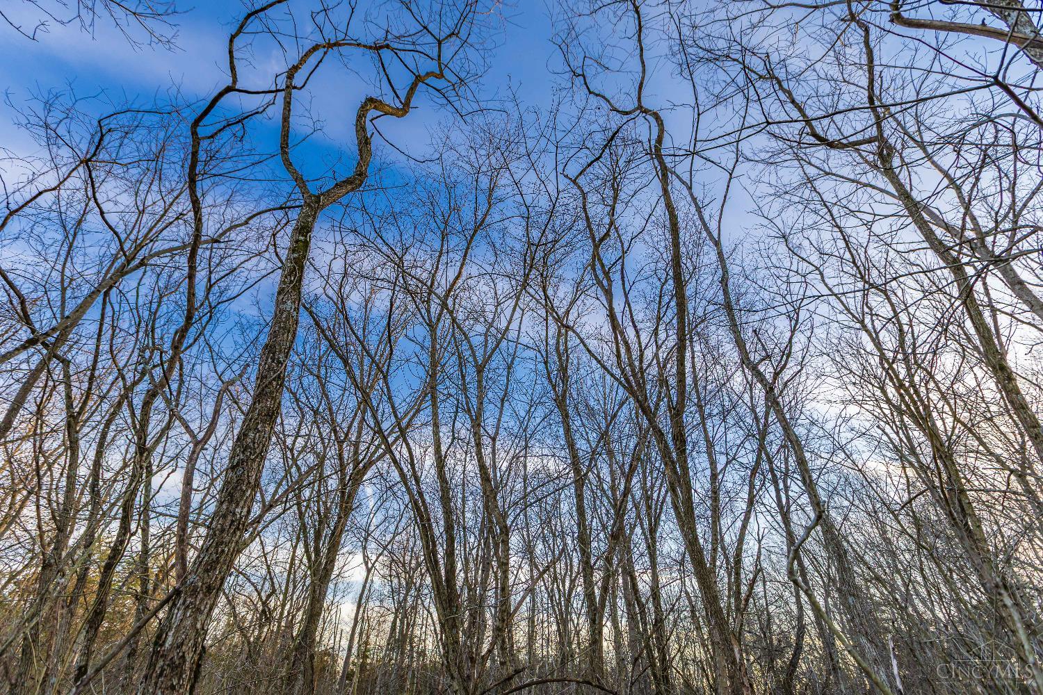 Lura Lane, Bratton Twp, OH, 45660 — photo 7