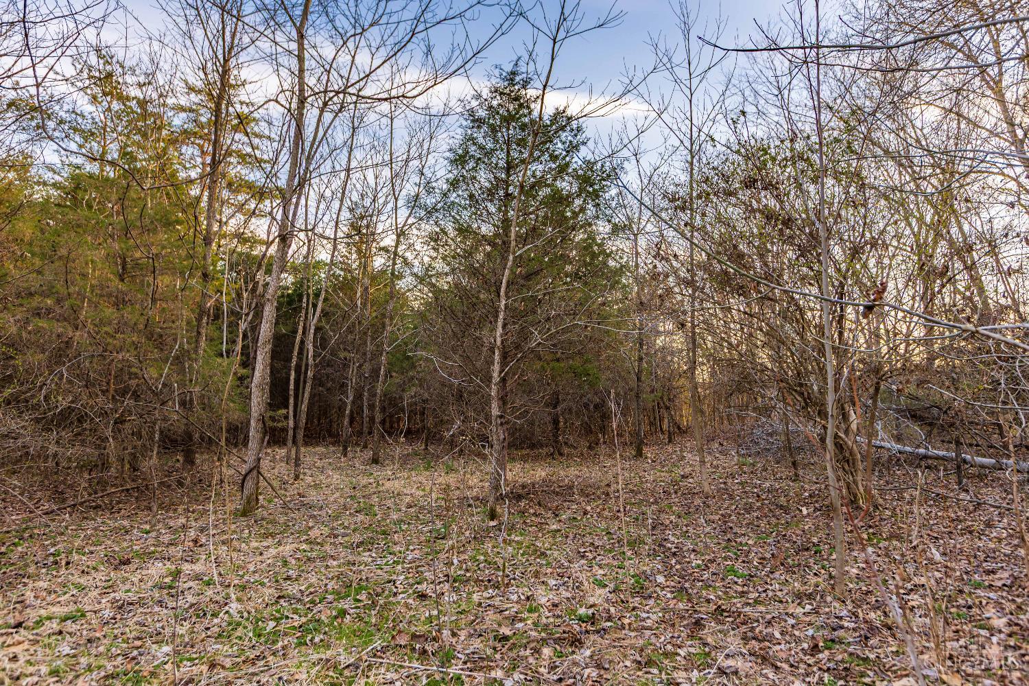 Lura Lane, Bratton Twp, OH, 45660 — photo 9