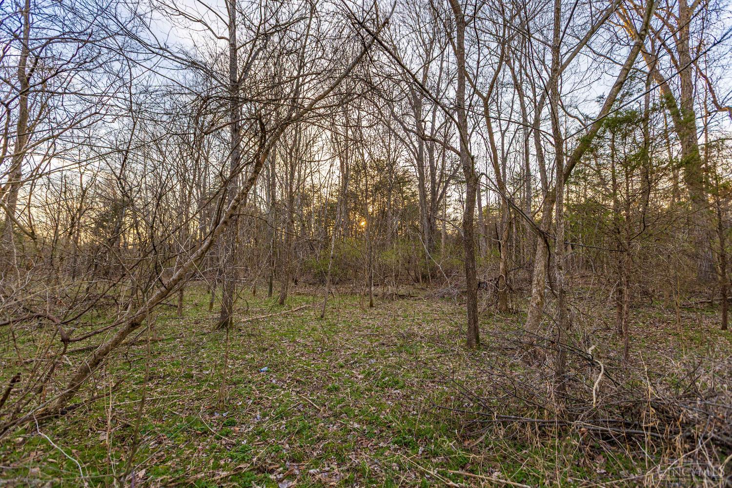 Lura Lane, Bratton Twp, OH, 45660 — photo 10