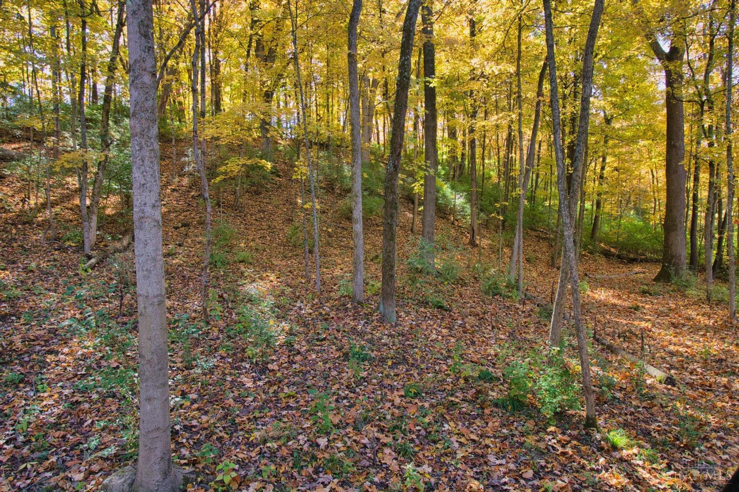 7167 Goshen Road, Goshen Twp, OH, 45122 — photo 16