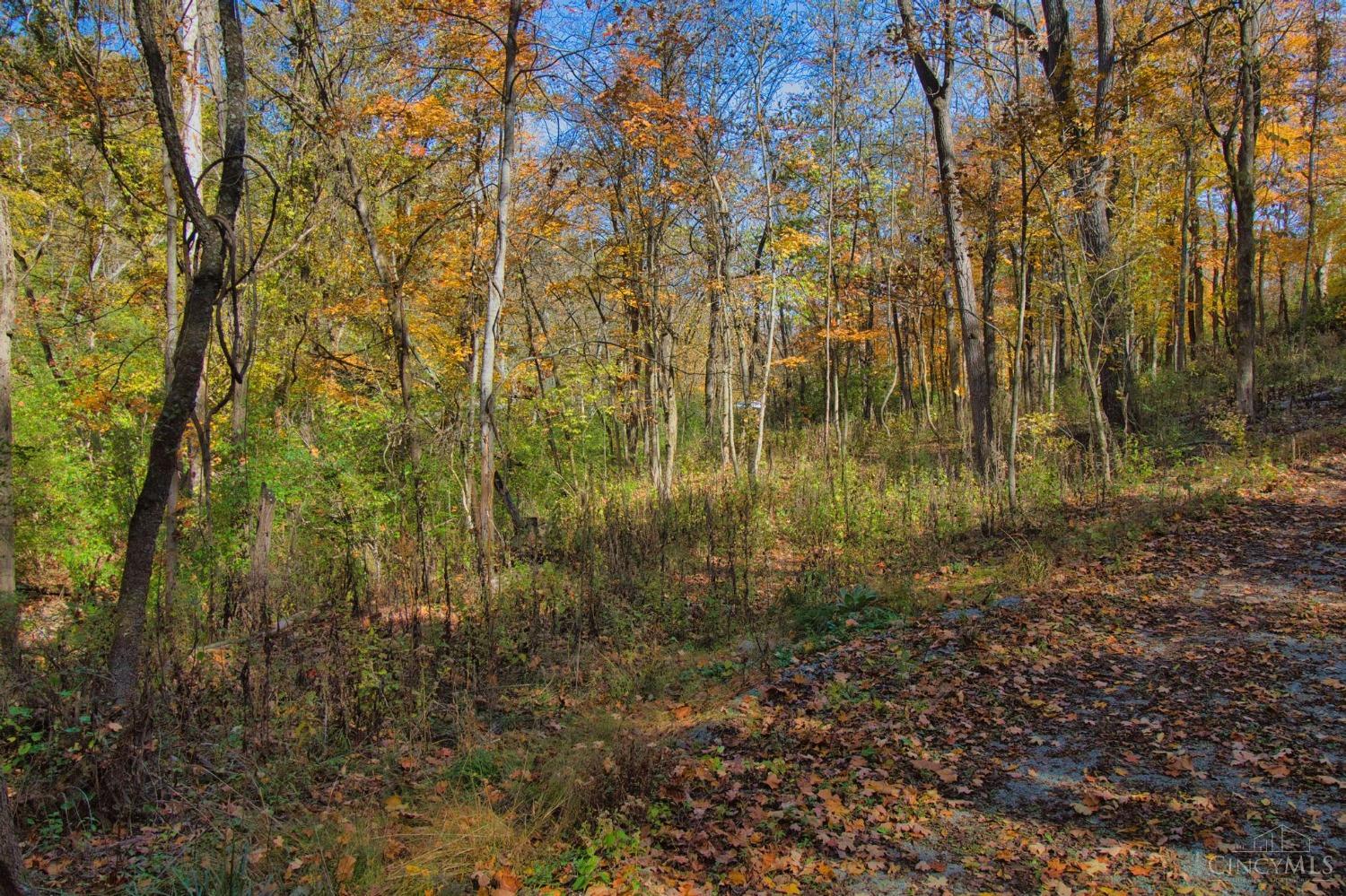 7167 Goshen Road, Goshen Twp, OH, 45122 — photo 14