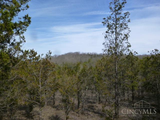 St Rt 41, West Union, OH, 45693 — photo 2