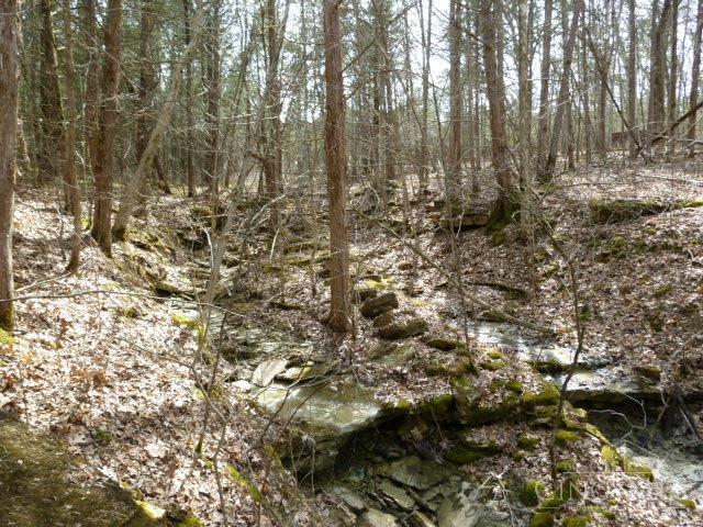 St Rt 41, West Union, OH, 45693 — photo 38