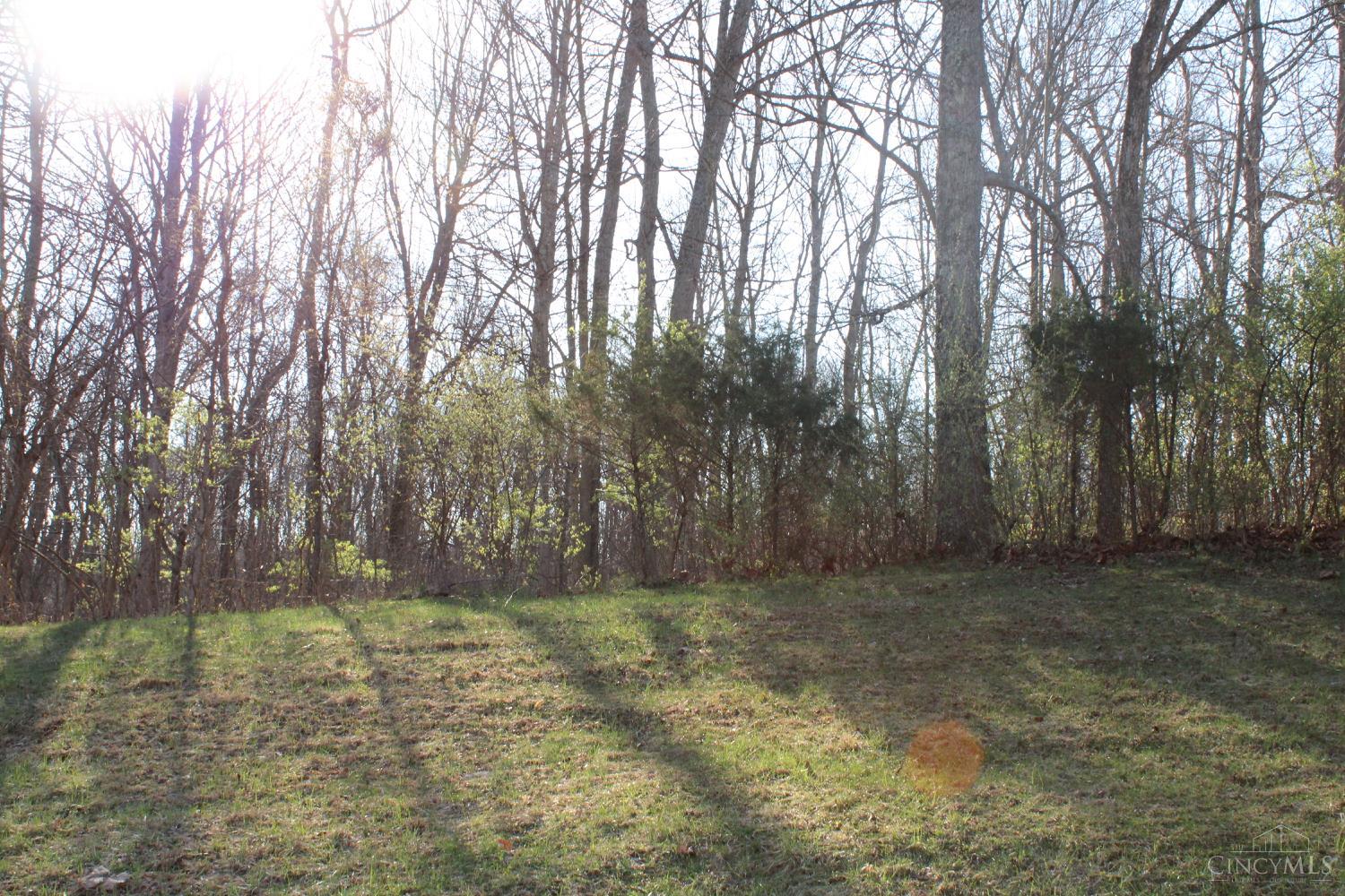 1340 Riverwalk Drive, New Richmond, OH, 45157 — photo 2