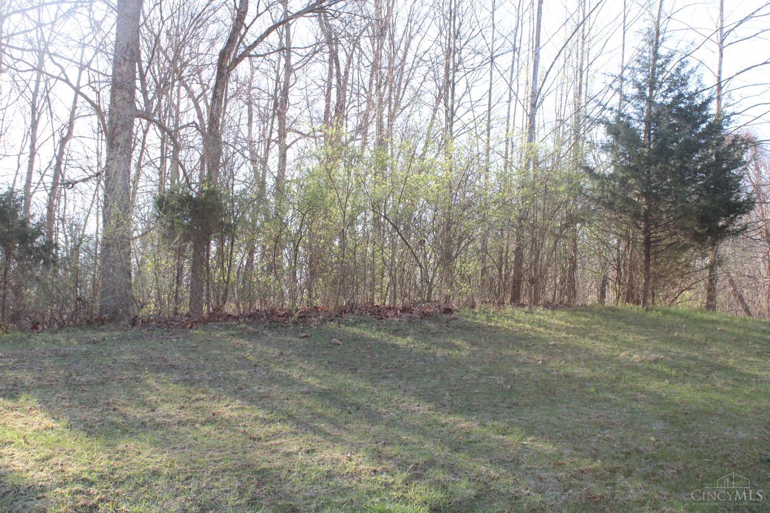 1340 Riverwalk Drive, New Richmond, OH, 45157 — photo 4