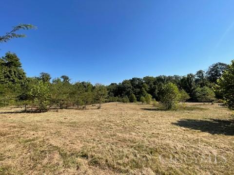 2 Alexandras Way, Lot 263, Cleves, OH, 45002 — photo 8