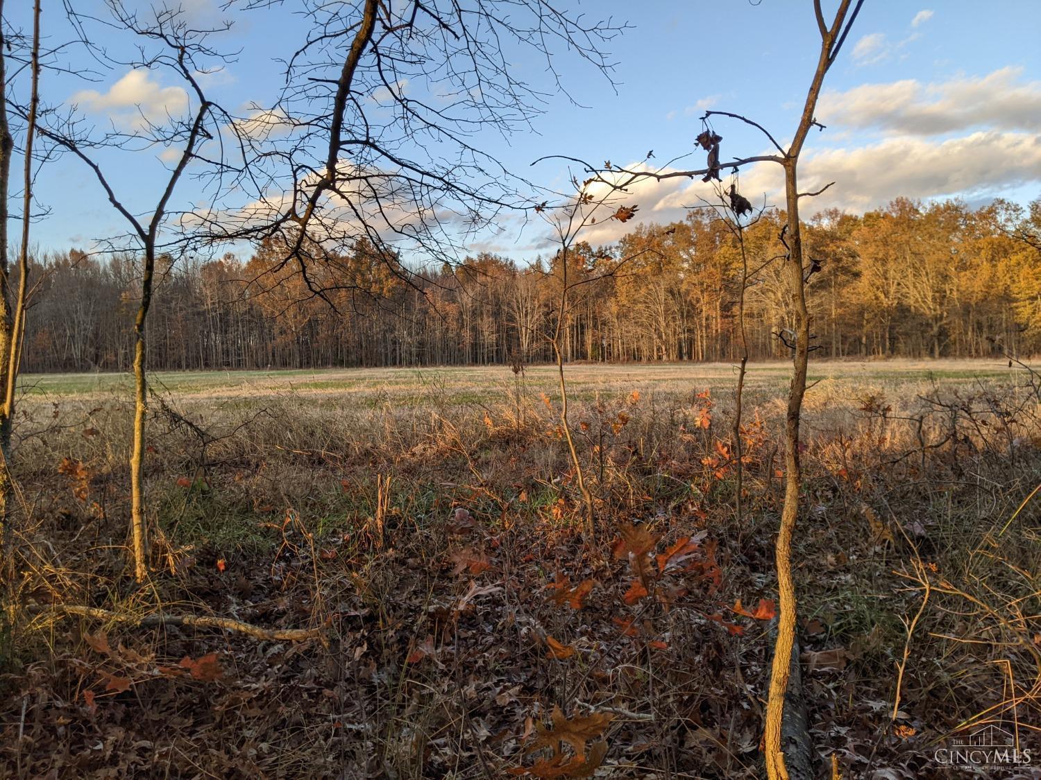 acres Yankeetwon Road, Hamersville, OH, 45130 — photo 6