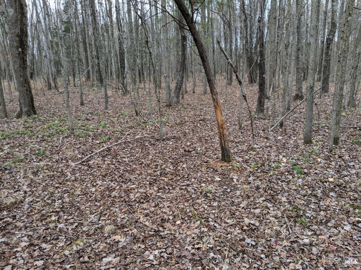 acres Yankeetwon Road, Hamersville, OH, 45130 — photo 7