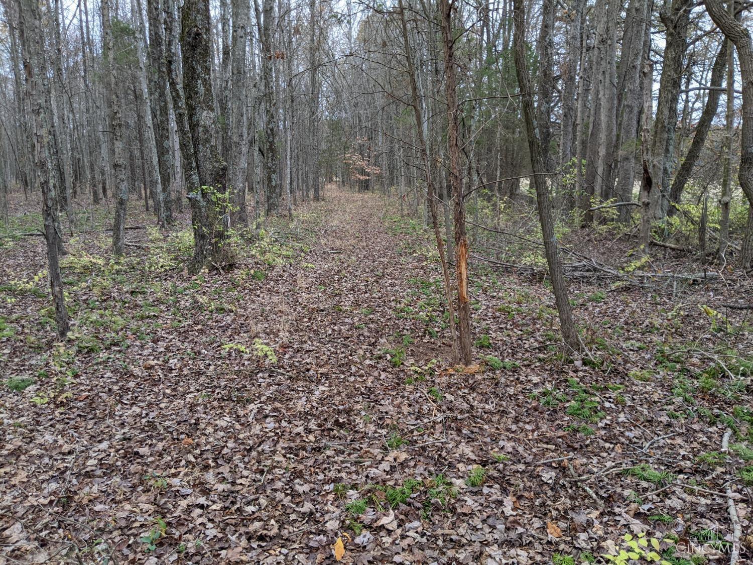 acres Yankeetwon Road, Hamersville, OH, 45130 — photo 5