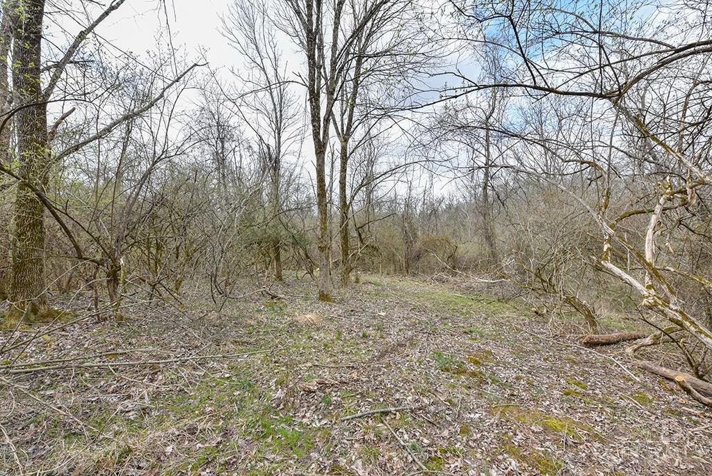 4551 Dameron Lane, Anderson Twp, OH, 45244 — photo 9