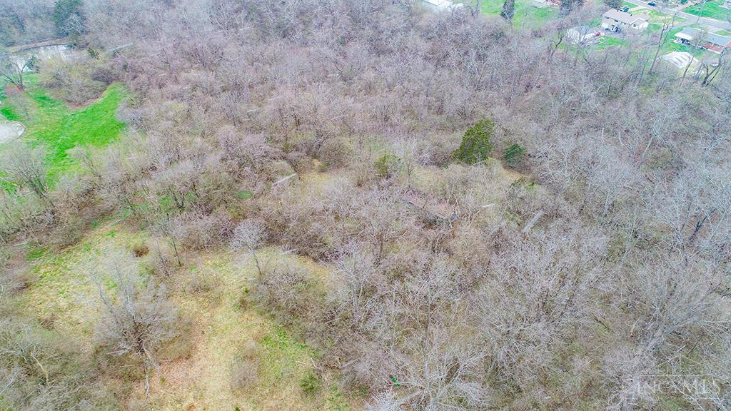 4551 Dameron Lane, Anderson Twp, OH, 45244 — photo 3