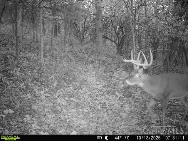 19320 Duck Creek Road, Metamora, IN, 47030 — photo 83