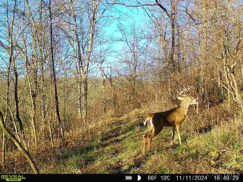 19320 Duck Creek Road, Metamora, IN, 47030 — photo 89