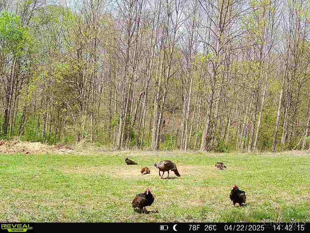 19320 Duck Creek Road, Metamora, IN, 47030 — photo 87