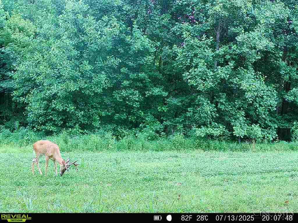 19320 Duck Creek Road, Metamora, IN, 47030 — photo 72