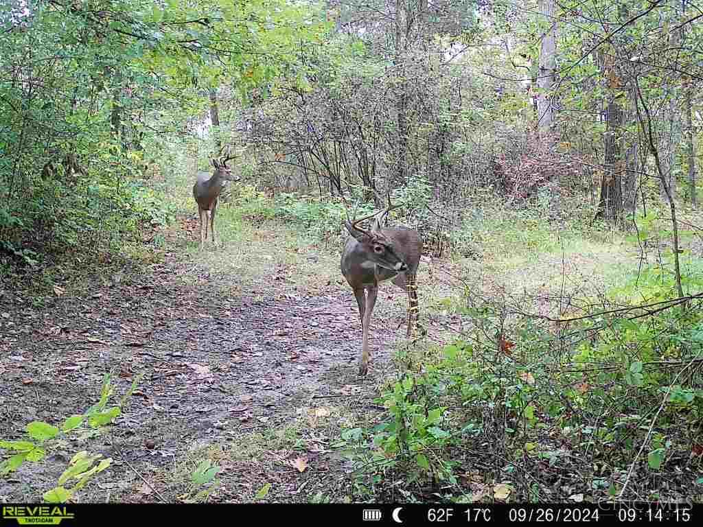19320 Duck Creek Road, Metamora, IN, 47030 — photo 90