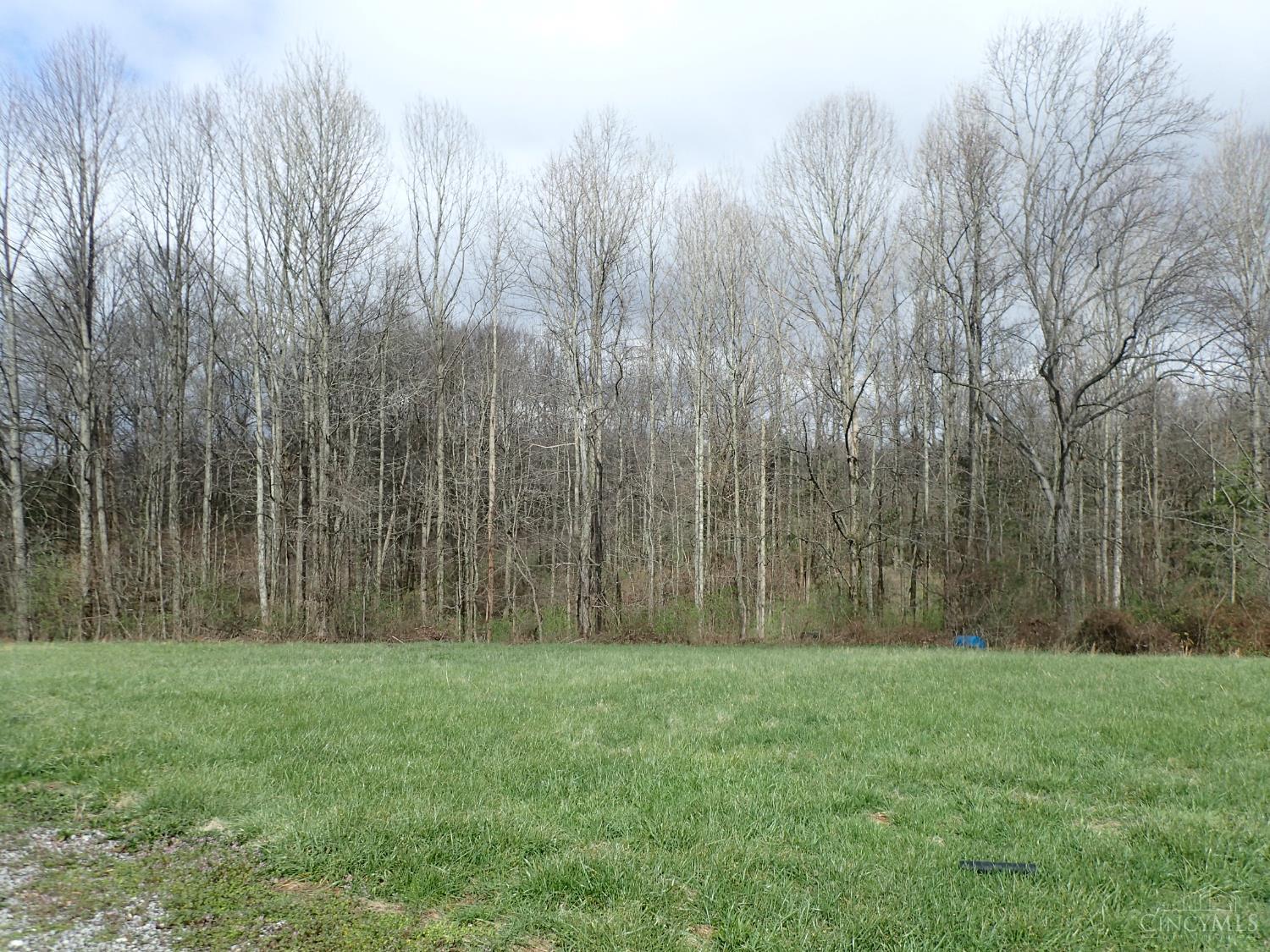 14071 Goodner Road, Dillsboro, IN, 47018 — photo 40
