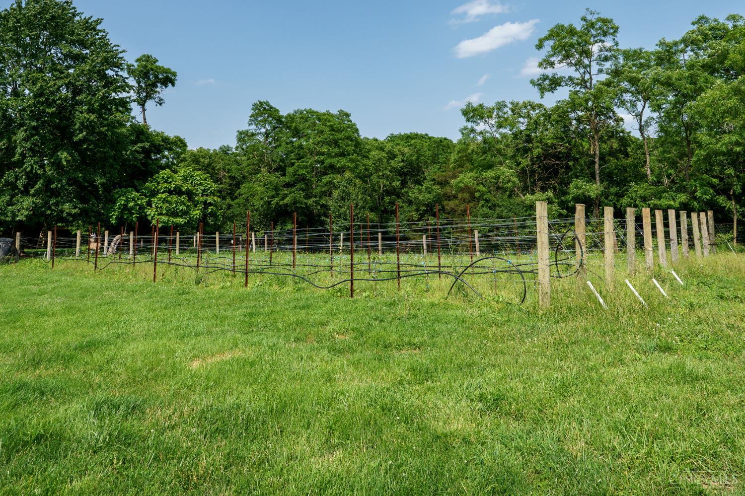 6500 Olive Branch Road, Washington Twp, OH, 45054 — photo 74