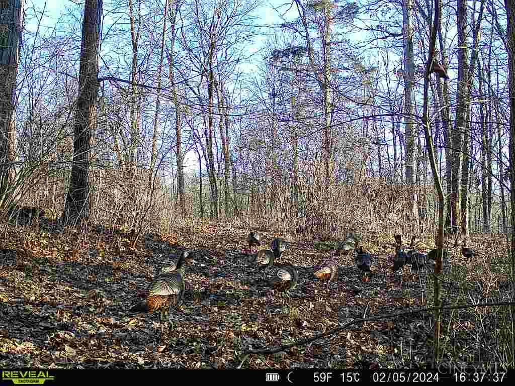 19320 Duck Creek Road, Metamora, IN, 47030 — photo 82
